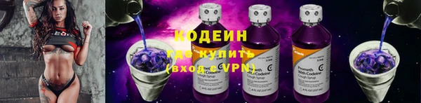 дживик Абаза