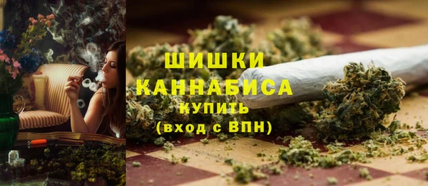 дживик Абаза