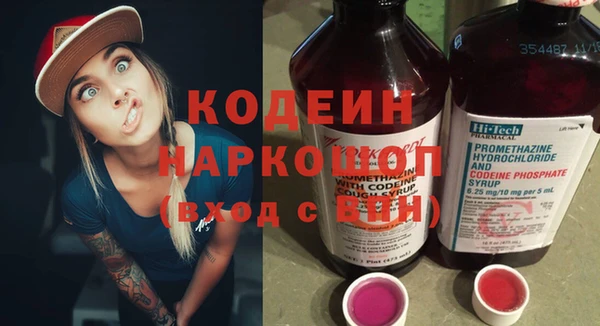 дживик Абаза